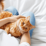 pelage chat